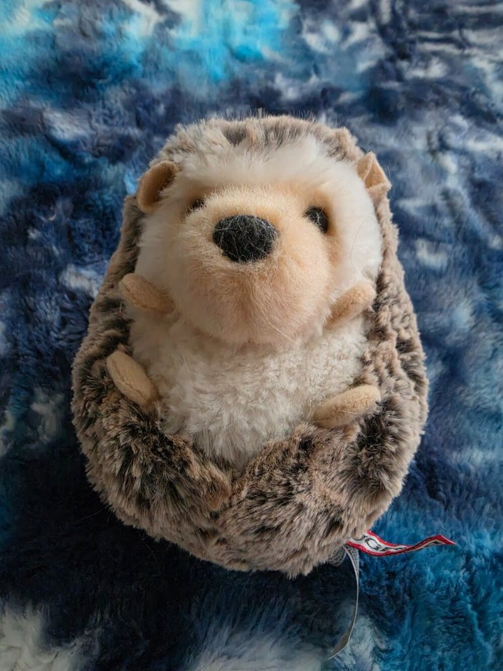 Super Soft Douglas hedgehog plush